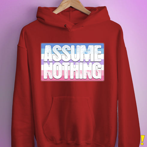 Assume Nothing Bigender Pride Flag Hoodie - Red